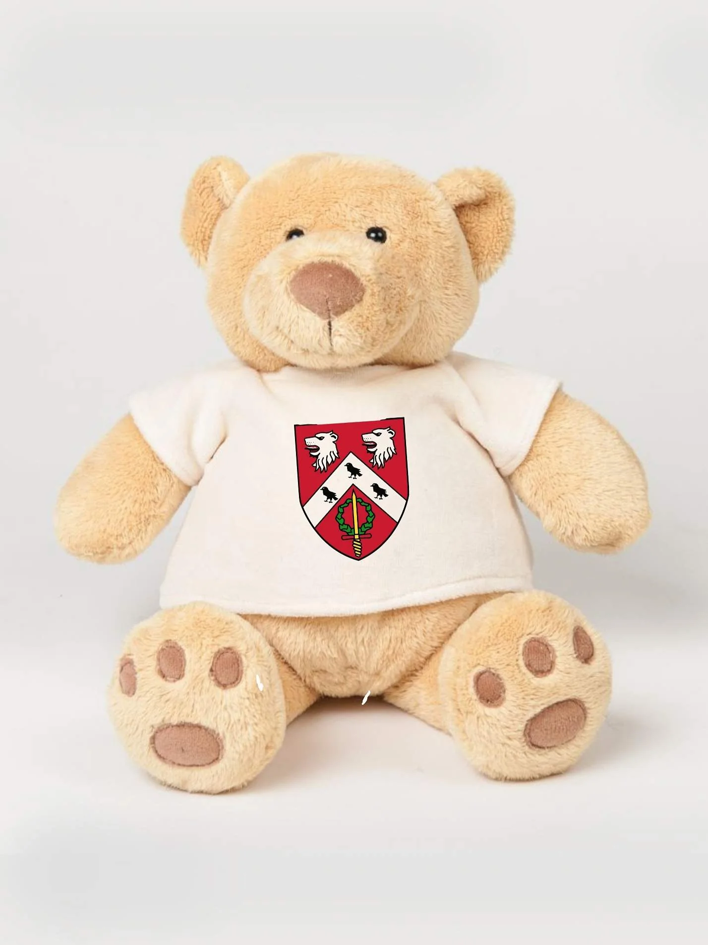 St Anne's College Oxford MCR Printed Study Buddy Bear