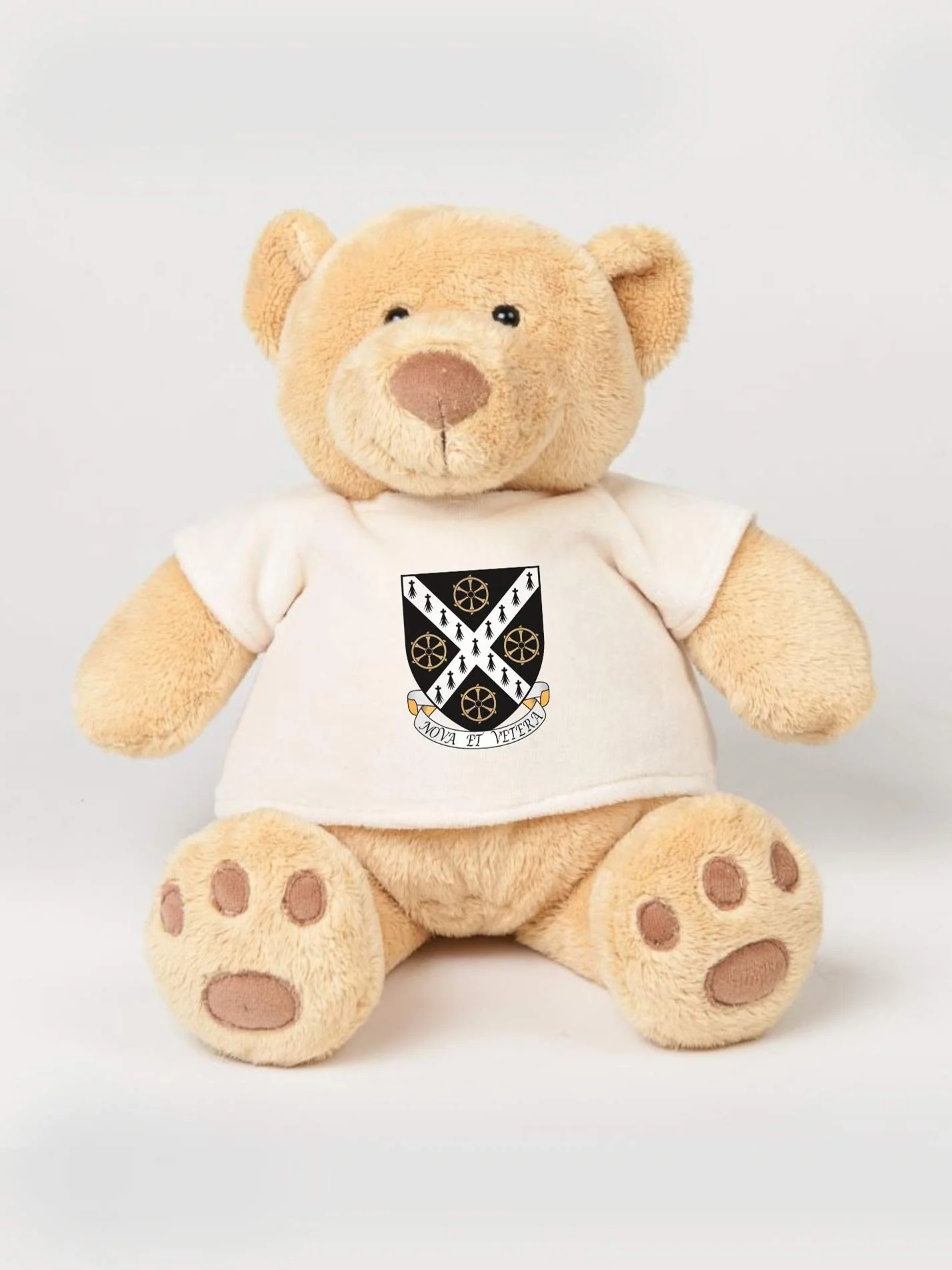 St Catherine's College Oxford JCR Printed Study Buddy Bear