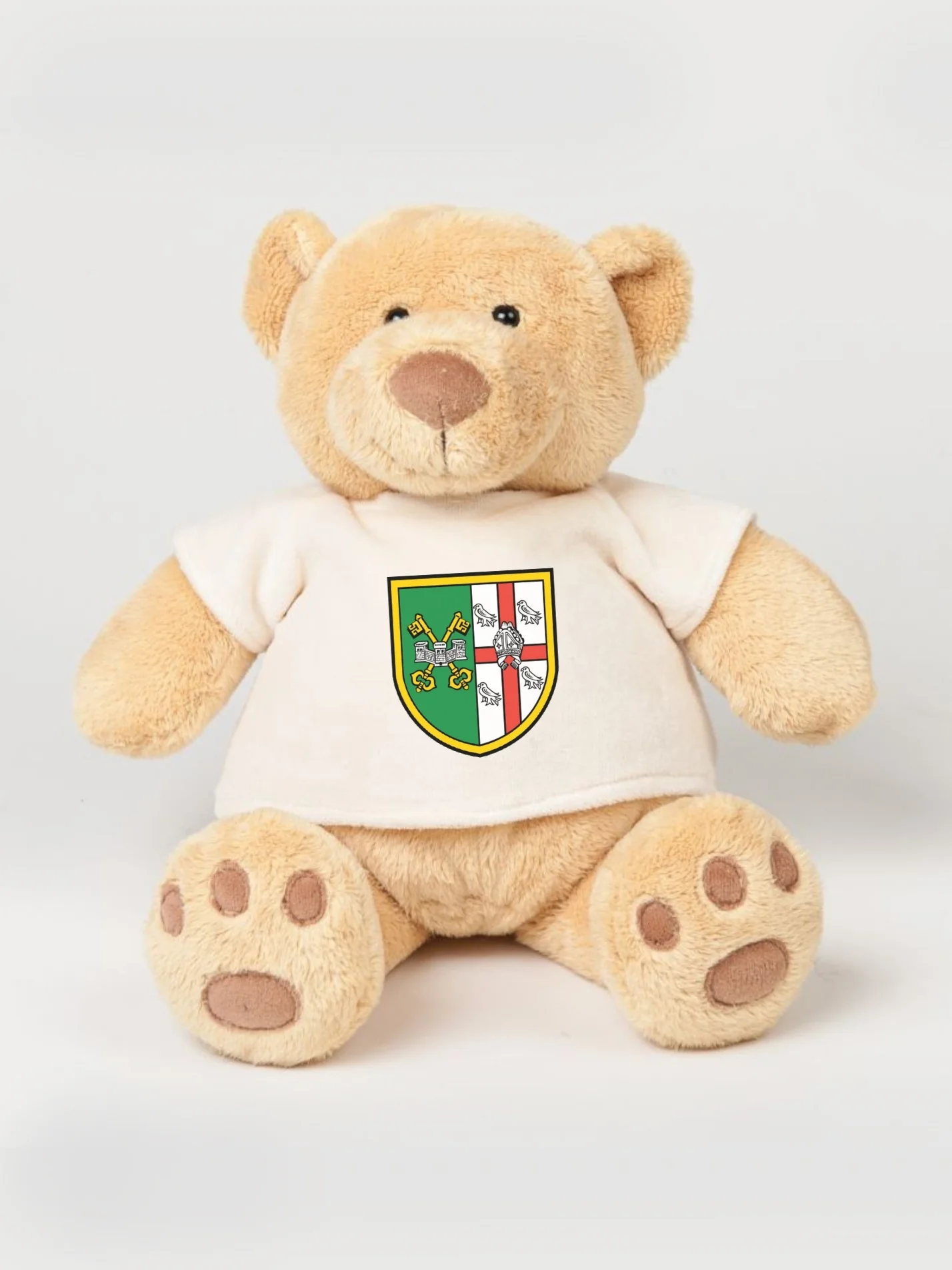 St Peter's College Oxford JCR Printed Study Buddy Bear