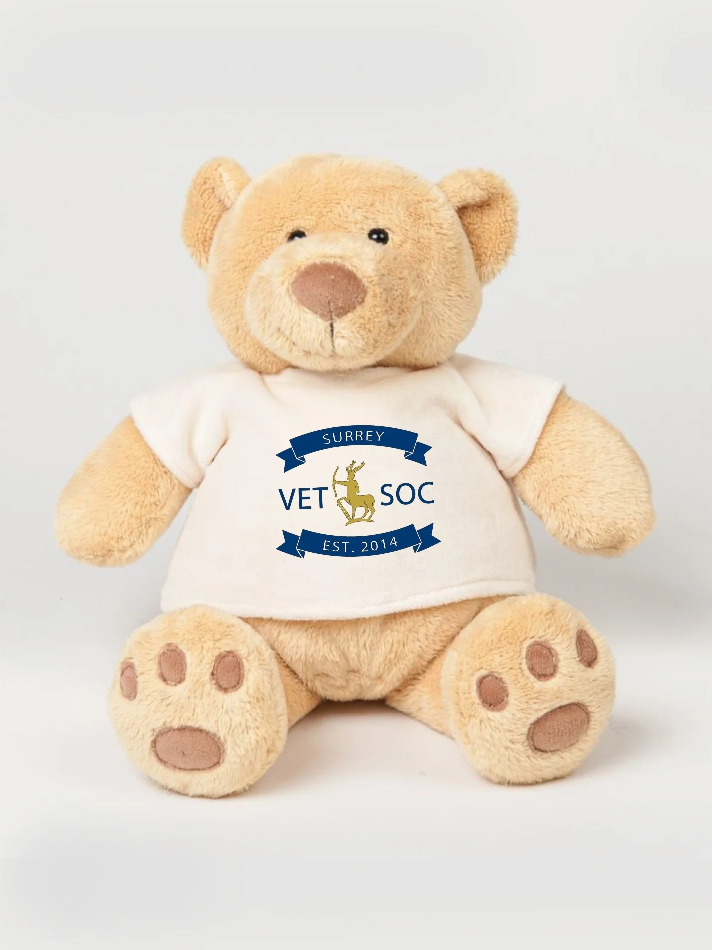 Surrey Vet Society Printed Study Buddy Bear