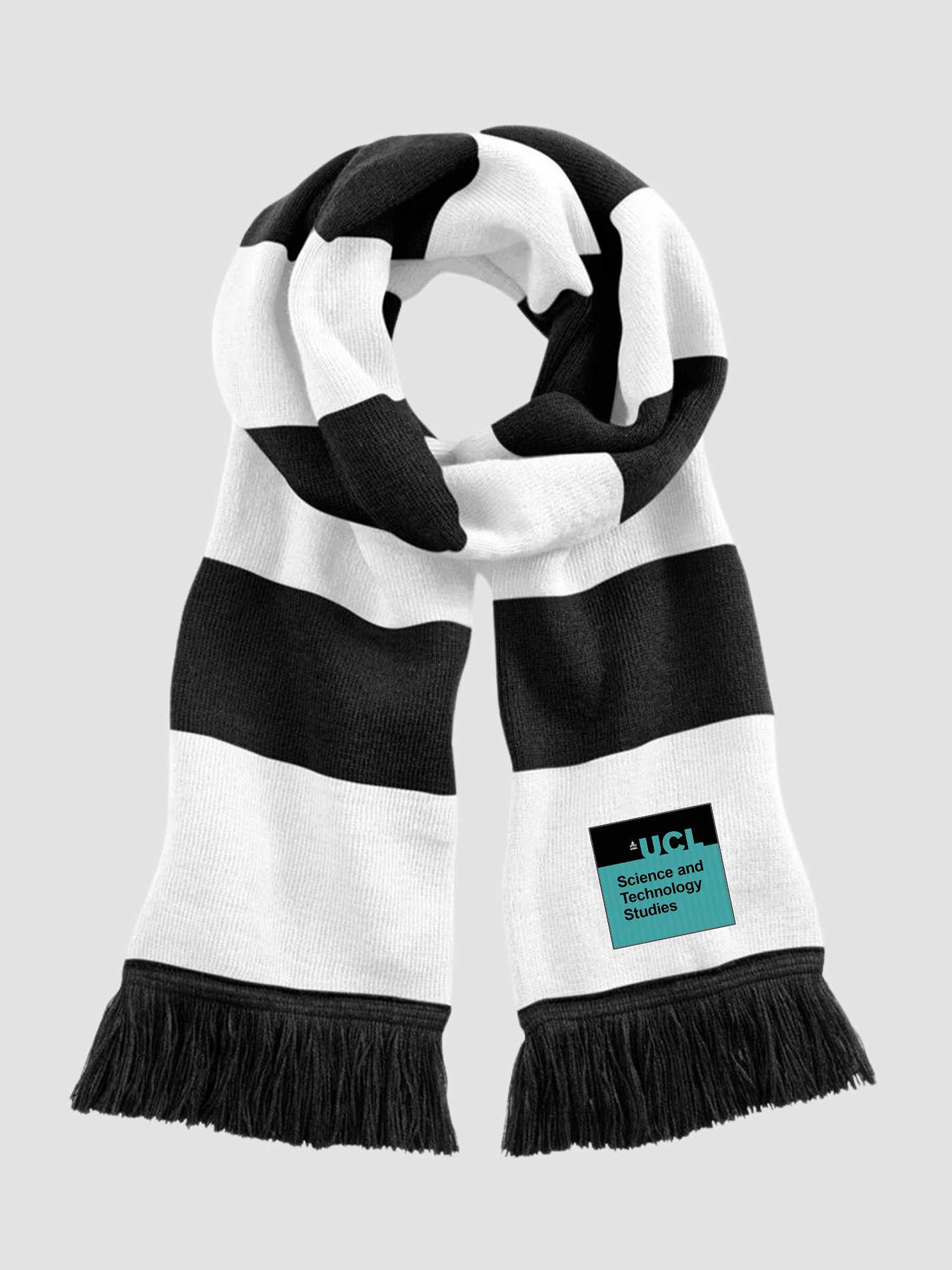 UCL Science and Technology Studies Department Striped Scarf - Image 2