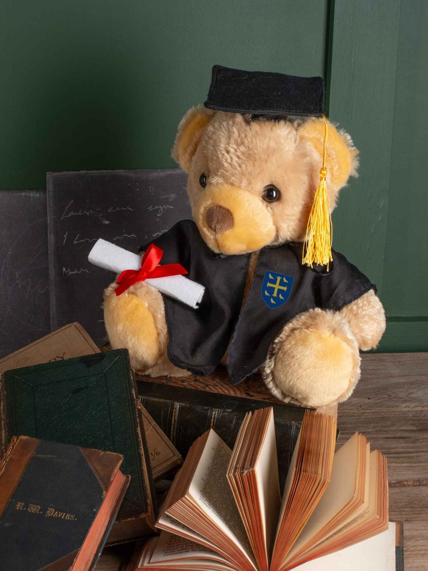 University College Oxford Graduation Printed Bear Keepsake