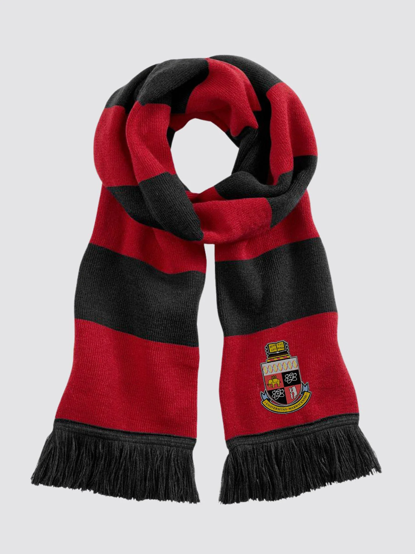 Warwick Medical School Striped Scarf