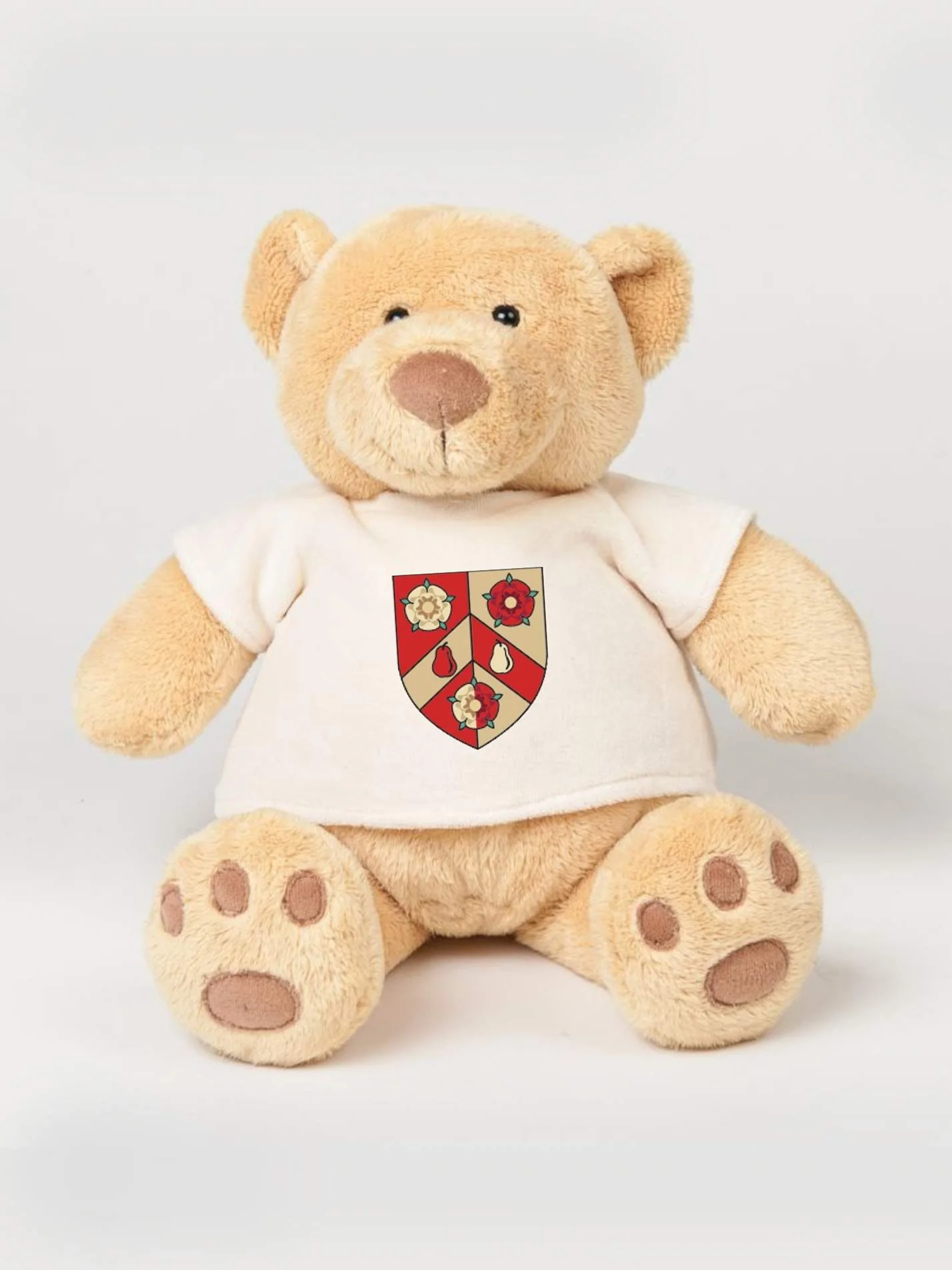 Wolfson College Oxford Printed Study Buddy Bear