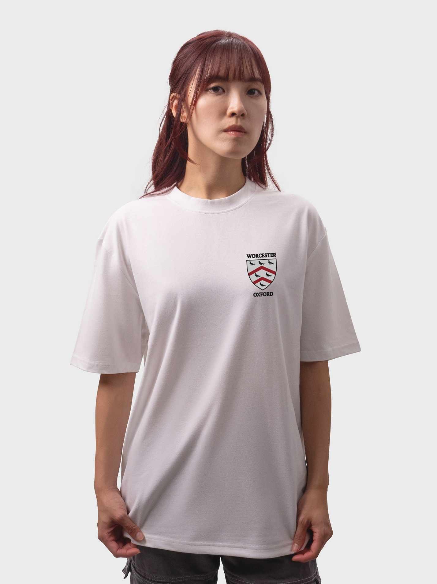 Worcester College Oxford MCR Unisex Heavy Oversized T-Shirt - Image 4